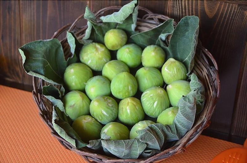 Baia Santa Margherita B&B Castelluzzo Ngoại thất bức ảnh